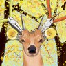 座椅子がボロくて腰が痛い's profile picture