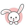 奶兔🐰 的头像