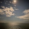 Seaskyblue's profile picture