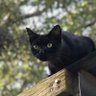 leerocks profil fotoğrafı
