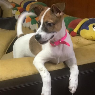 Natalia's profile picture
