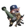 NAFODefender 🇺🇸 profil fotoğrafı