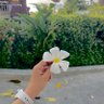 أ.ساره البدر 🦋 profil fotoğrafı
