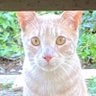 Profilbild von Cloridio