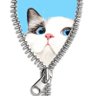 Profilbild von neko