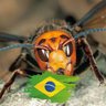 Profilbild von Vespa Conservadora 🇧🇷🇮🇱🇺🇸🇺🇦