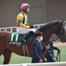 うま男の競馬予想's profile picture