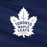 Фото профиля Biased Leaf Fan