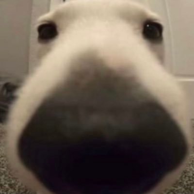 jooshho's profile picture