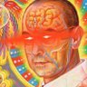 Profilbild von Bitcoin Hofmann ⚡