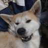 Profilbild von Уставшая