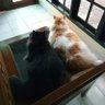 Okki_Tokki profil fotoğrafı