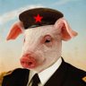 น้อนหมูนโปเลียน☭ คีพวง 的头像