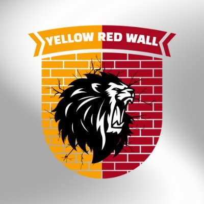 YELLOW RED WALL🦁🇹🇷's profile picture