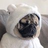 Official Puge's profile picture