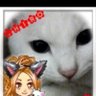 Profilbild von すぅみん男闘呼組(REIKO)