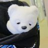 ぢゃこまる profil fotoğrafı