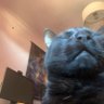 Captain Scarlet's profile picture