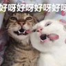 茂利 profil fotoğrafı