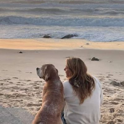 MariaCabugueira's profile picture