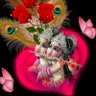 Eddum Rao's profile picture