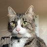 Kiké.Kun profil fotoğrafı