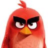 Zhang's profile picture