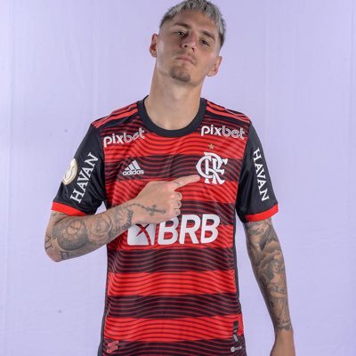 guille_varela4's profile picture