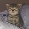 🦙's profile picture