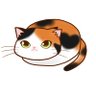 Ohたけし🐈⬛🐾🎹🎼♪©'s profile picture