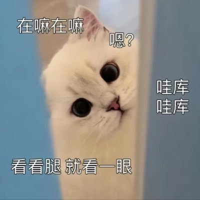 JJPPYA's profile picture
