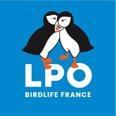 LPOFrance's profile picture