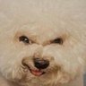 NyymiAI's profile picture
