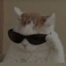 Hanaa's profile picture