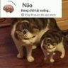 Hải Nek profil fotoğrafı