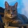 Profilbild von Dr. Roketo