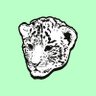 Фото профиля Calibrate | PET LIGER