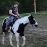 Mark McClain's profile picture