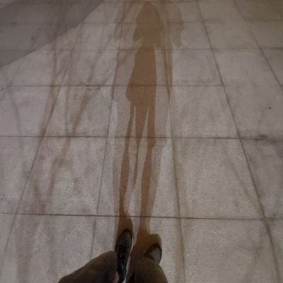 月夜小丑☬'s profile picture