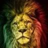 Profilbild von Kaliph0104