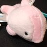 Fって言います 的头像