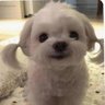 __Me__'s profile picture
