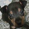 Profilbild von william cativo