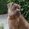 Фото профиля Ludovic