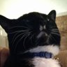 Josh Yoder's profile picture