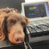 ween's profile picture