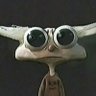 Profilbild von HELIMINATH