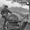The Grindstone 的头像