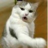 Profilbild von Monico