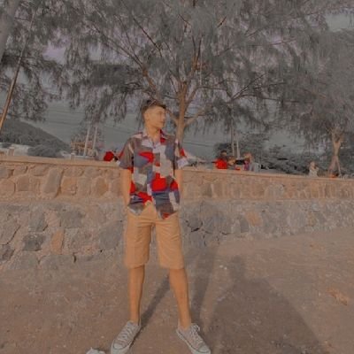 ViChet66521537's profile picture